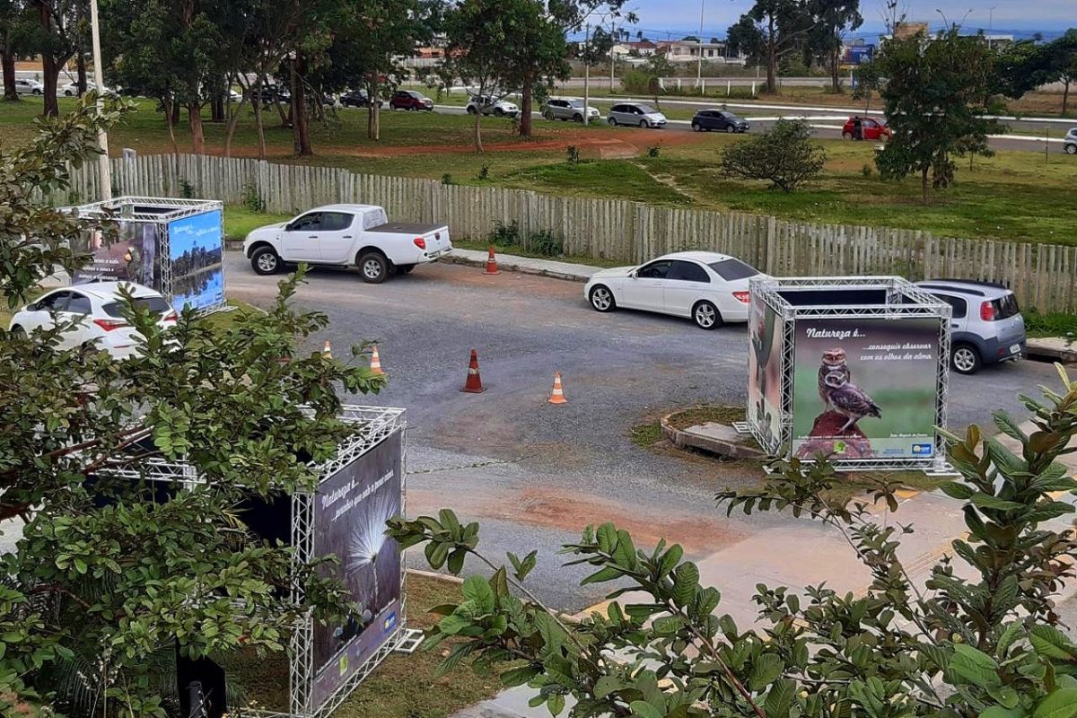 Exposição em drive-thru homenageia a natureza