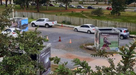 Exposição em drive-thru homenageia a natureza