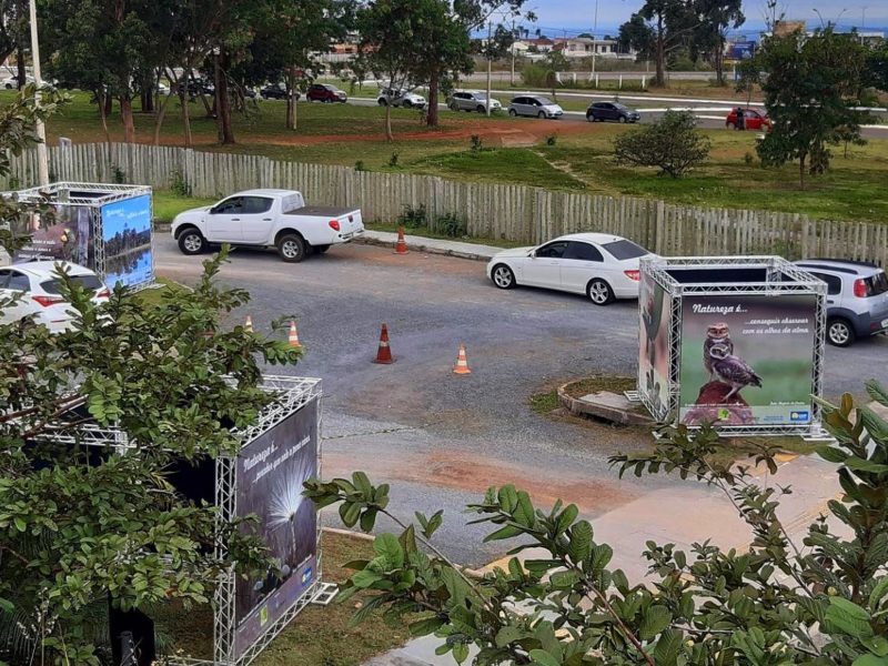 Exposição em drive-thru homenageia a natureza